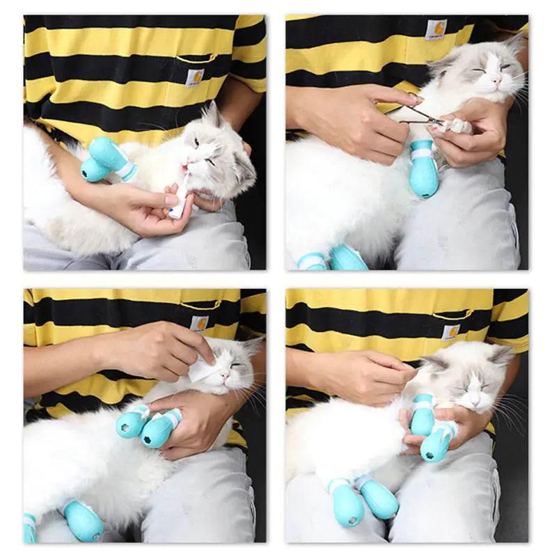 Cat wearing blue protective booties during grooming and nail care