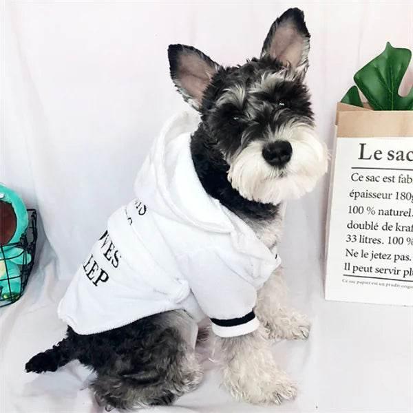 Adorable dog wearing white hoodie, cozy pet apparel for small breeds