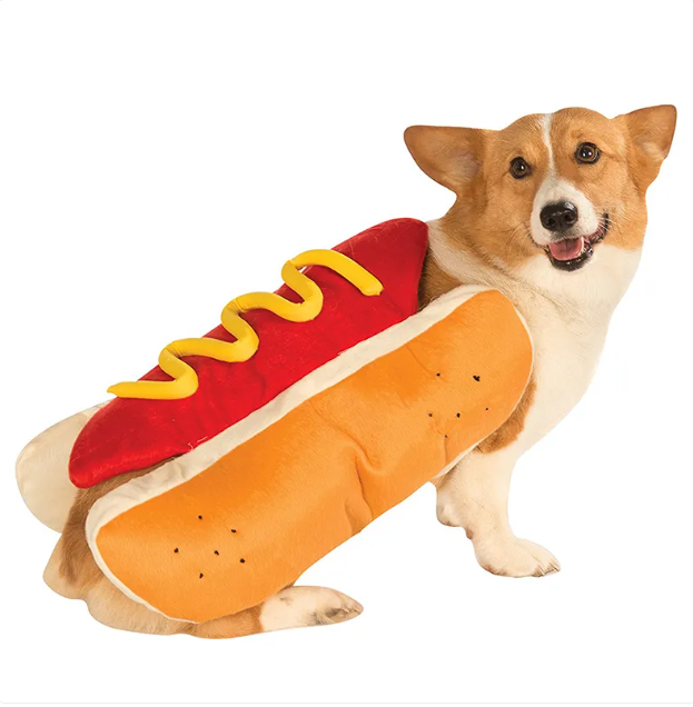 Corgi dog in hot dog costume, fun pet accessory for dogs