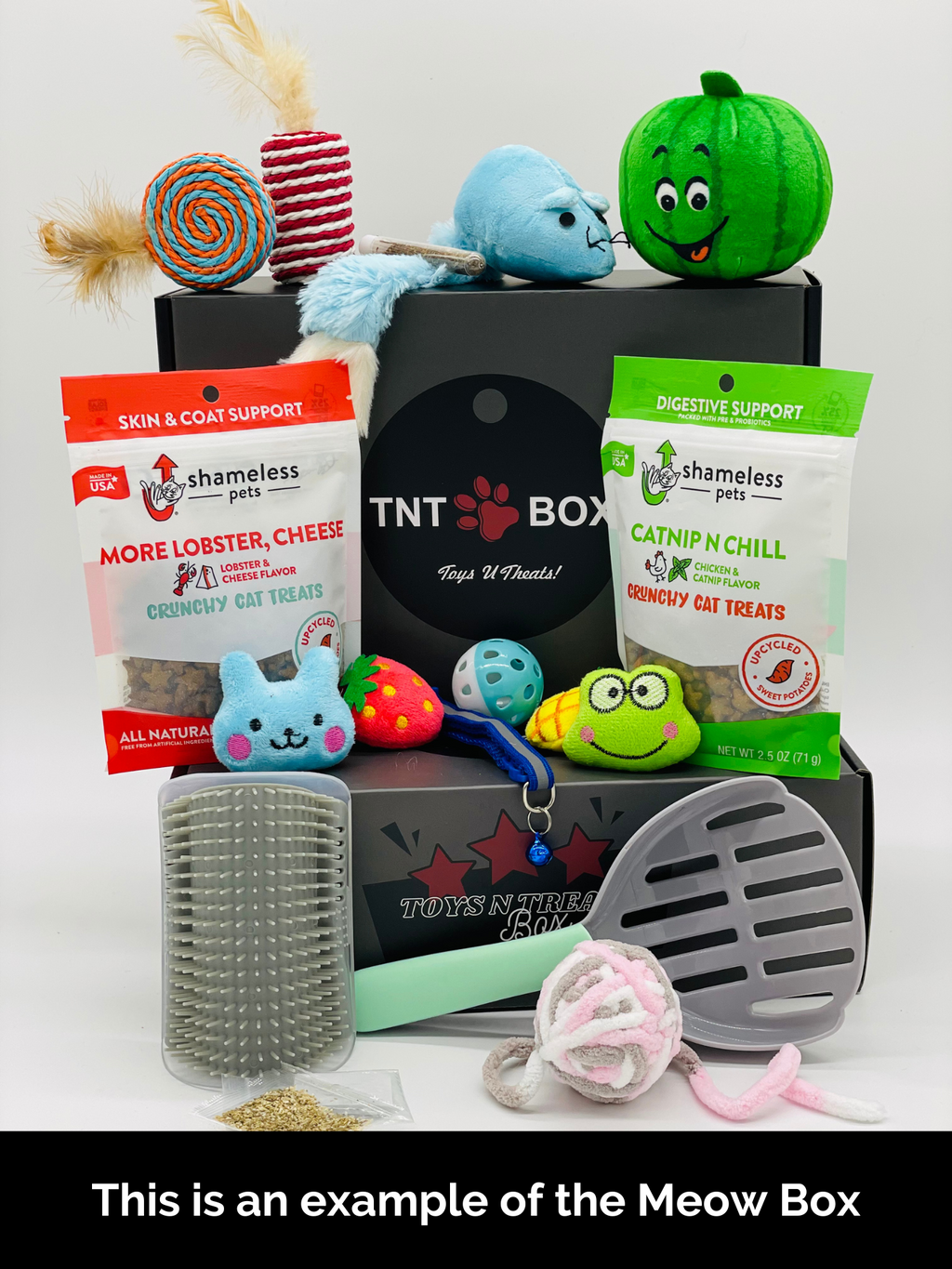 Meow Box cat subscription with toys, treats, and grooming tools for cats