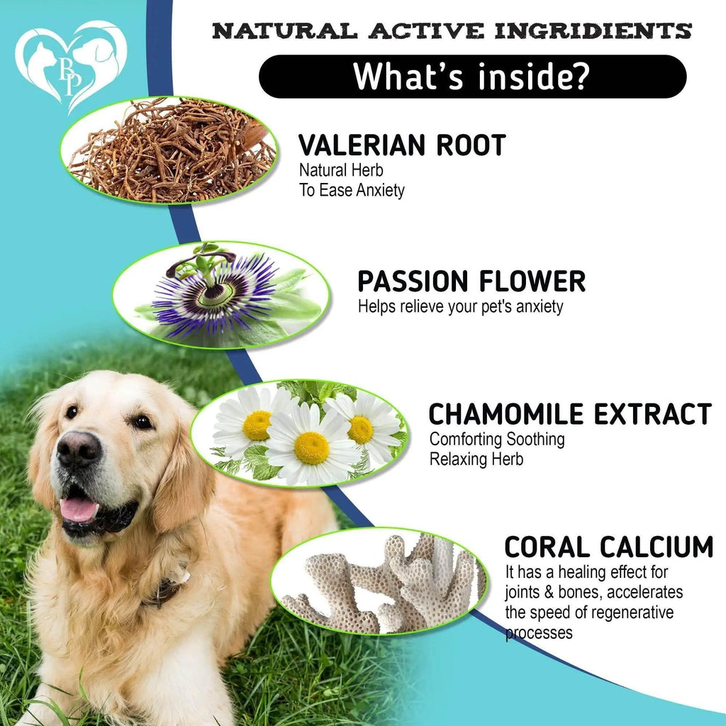 Golden retriever with natural pet supplement ingredients: valerian root, passion flower, chamomile, coral calcium for anxiety relief and joint health