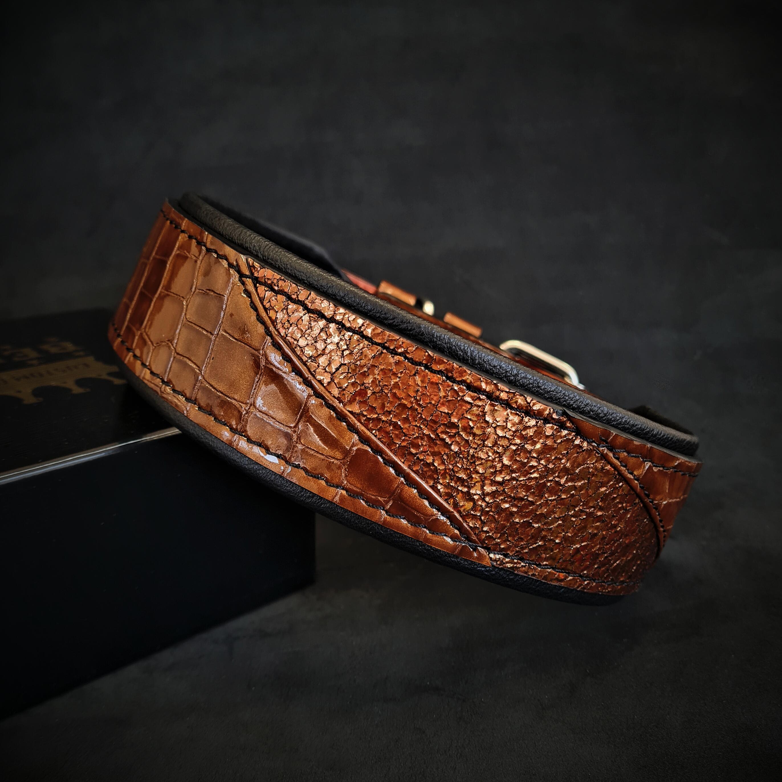 Luxury brown croc-textured dog collar with black trim and metal hardware, premium pet accessory