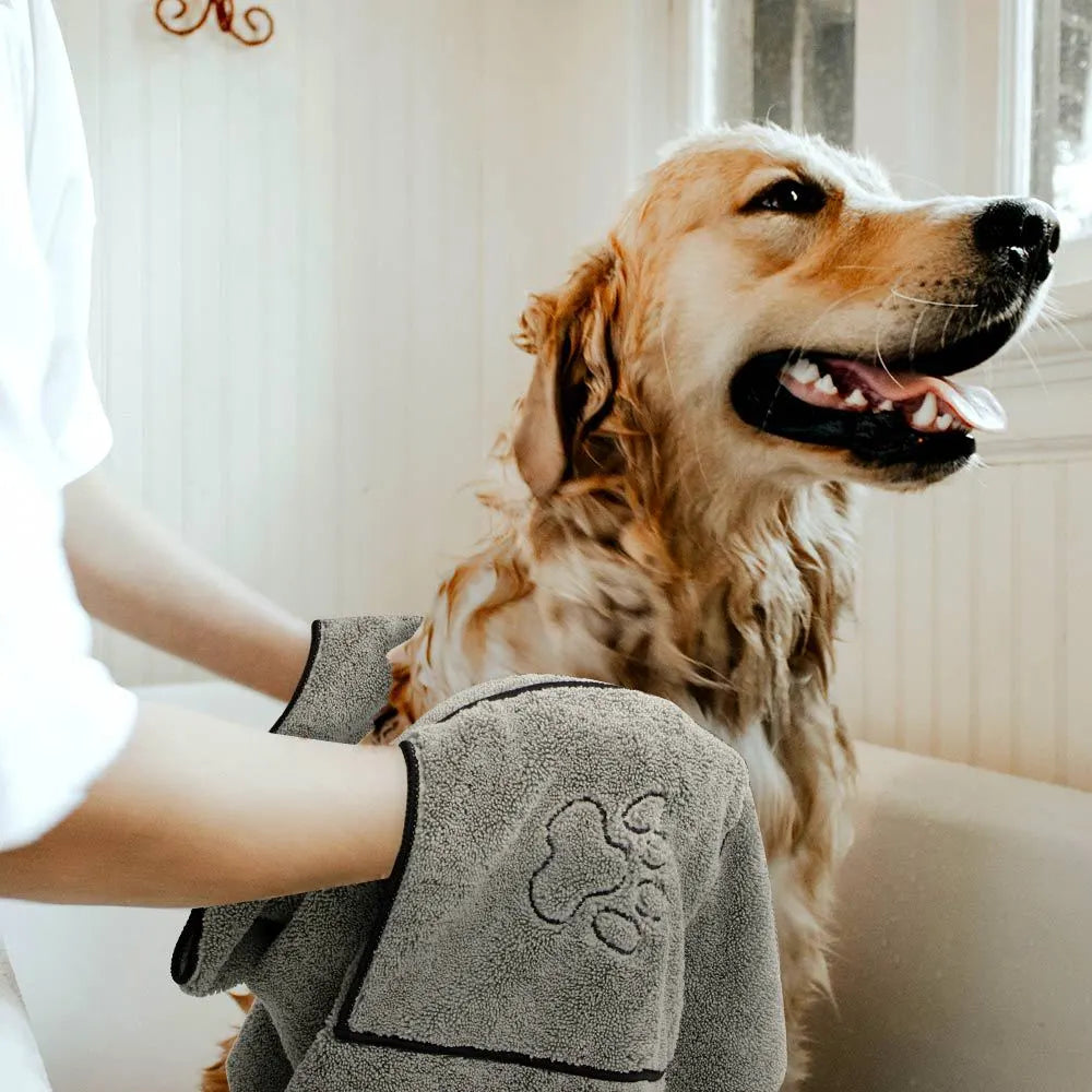 Golden retriever being dried with paw-print towel after bath, pet care essentials for dogs