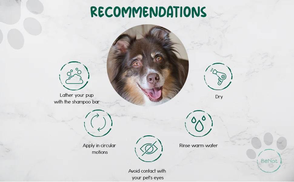 Dog shampoo usage guide: lather, circular motion, avoid eyes, rinse, dry ? pet care tips