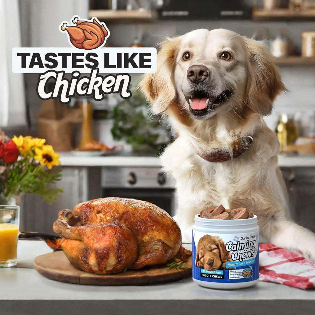 Happy golden retriever with chicken-flavored calming chews for dogs, beside roasted chicken in kitchen