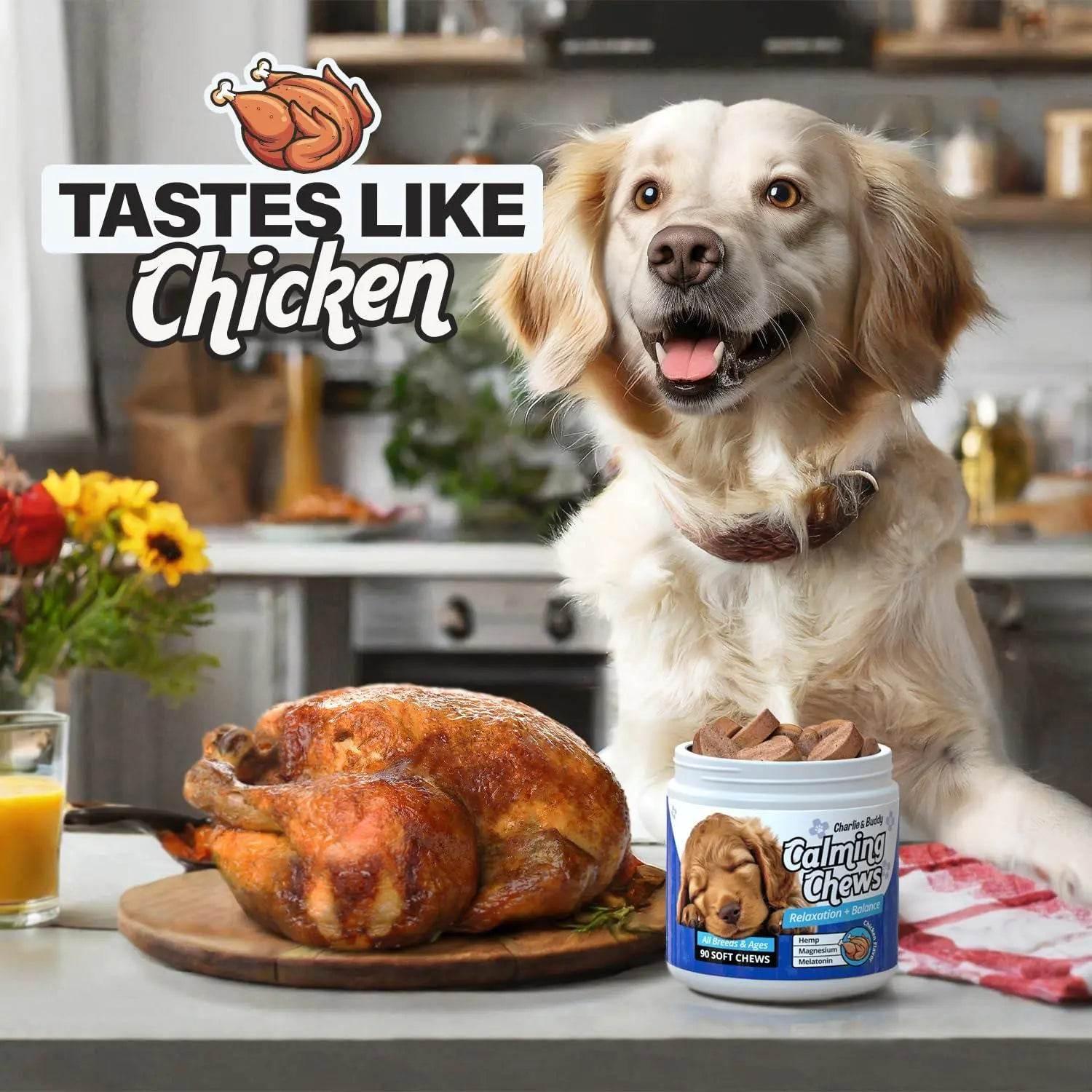 Happy golden retriever with chicken-flavored calming chews for dogs, beside roasted chicken in kitchen