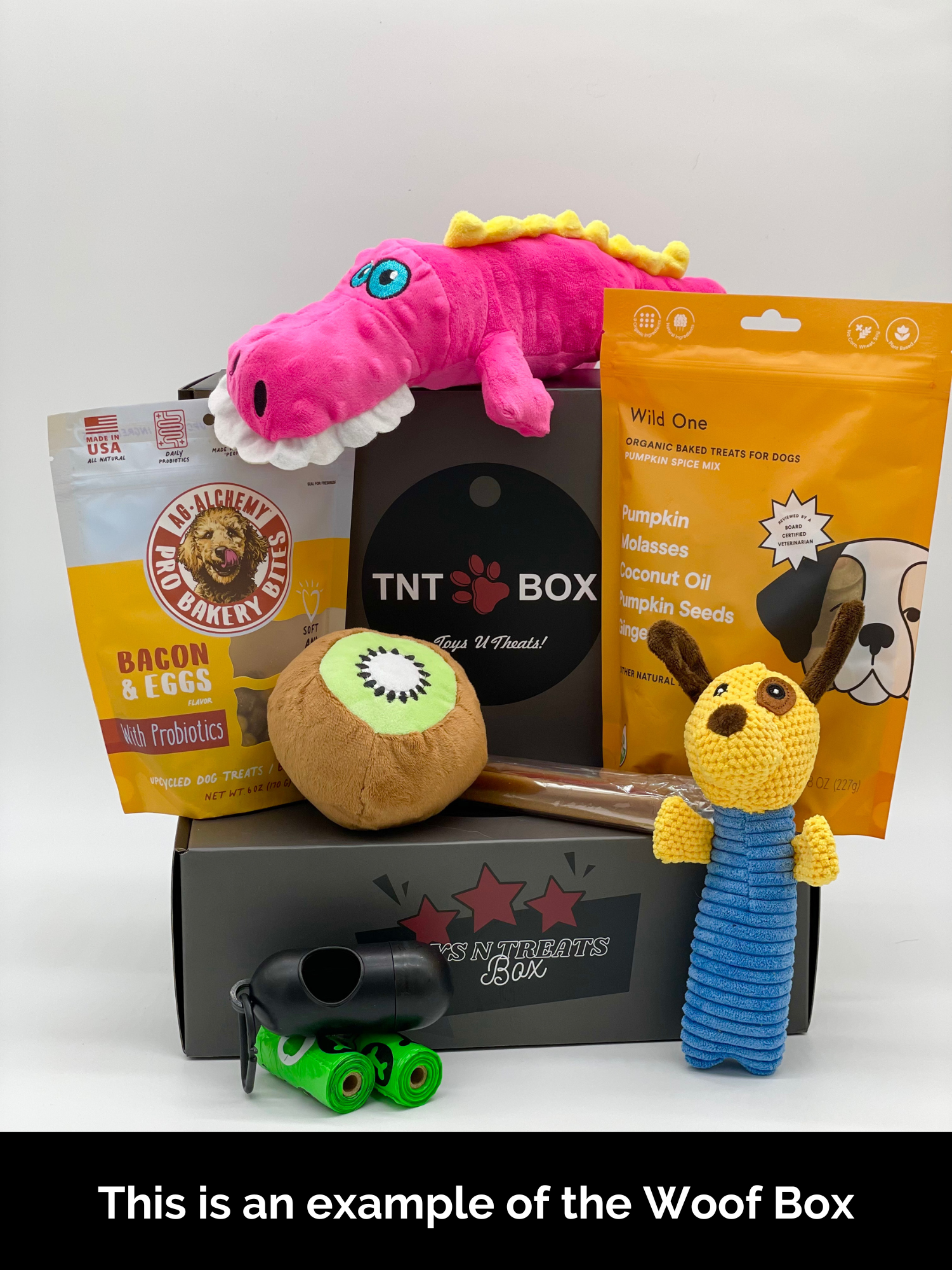 Dog toy box with plush toys, organic treats, and pet accessories for dogs