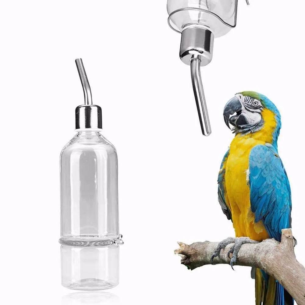 Clear bird water bottle with metal nozzle for parrots, featuring blue and yellow macaw perched nearby