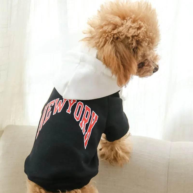 Fluffy dog wearing black hoodie with red NEWYORK print, cozy pet clothing for small dogs