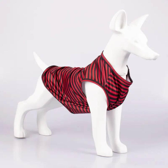 Red and black striped dog vest on white mannequin, pet clothing for small dogs