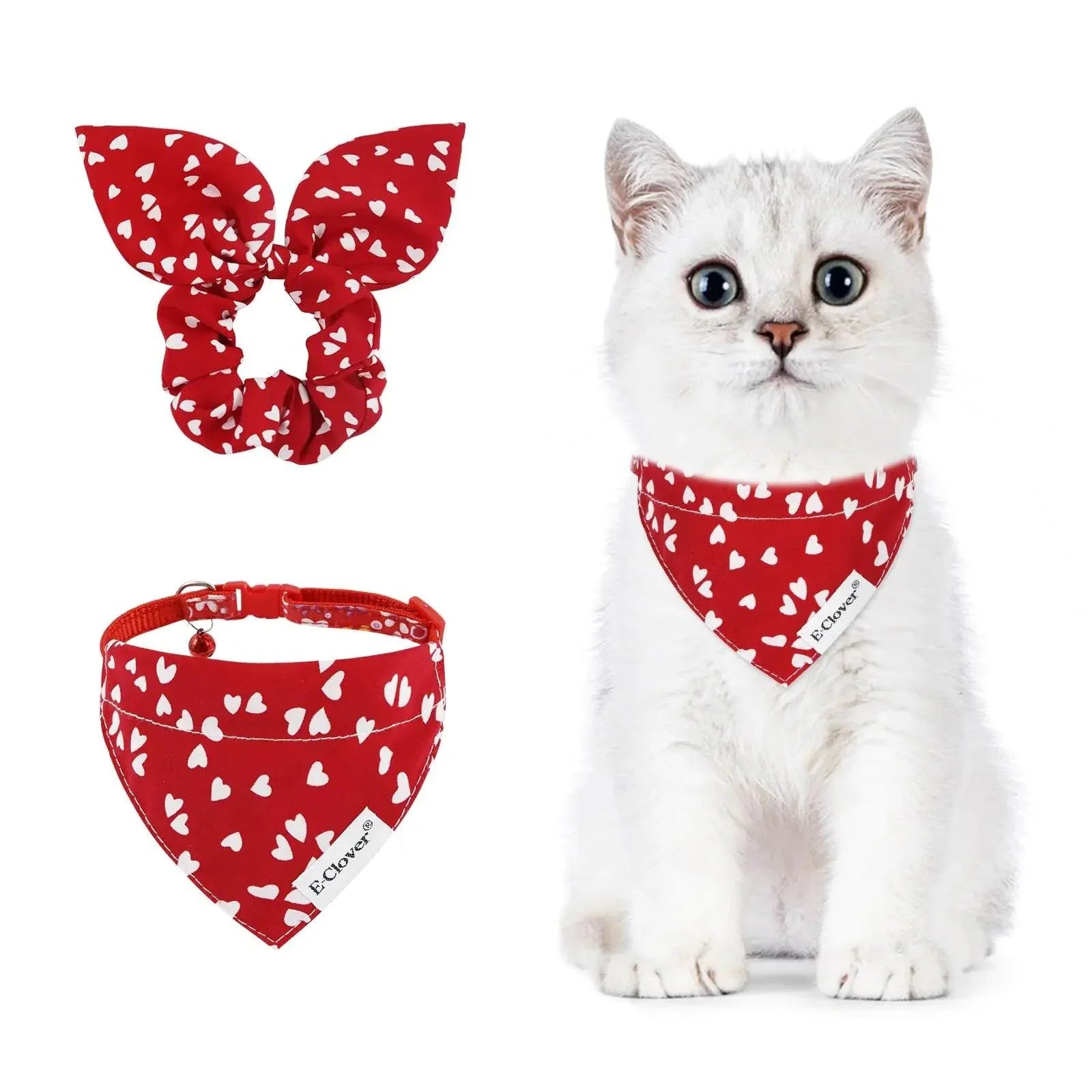 Adorable white kitten wearing red heart-print bandana with matching pet accessories for cats and dogs