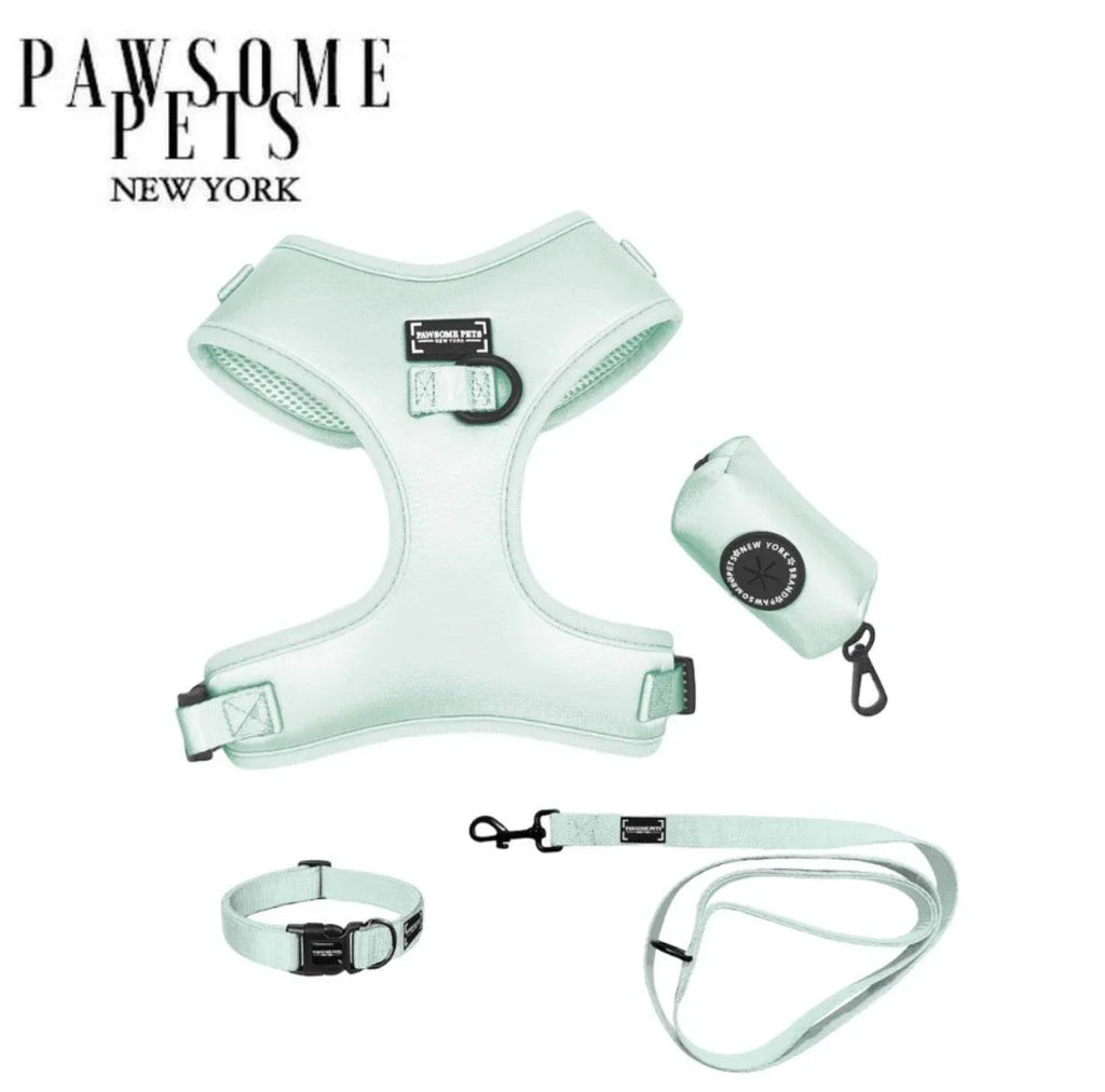 Mint green dog harness, leash, collar, and waste bag dispenser set by Pawsome Pets New York