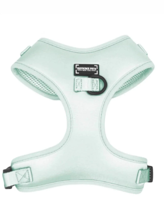 Mint green dog harness with breathable mesh, adjustable straps, and metal D-ring for leash attachment