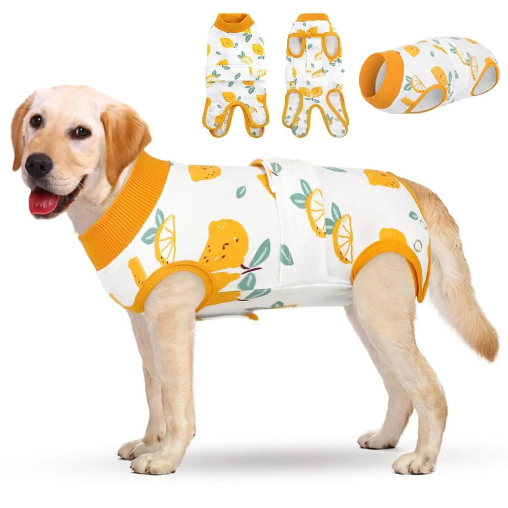 Labrador in lemon print dog vest with matching paw covers, pet clothing for dogs