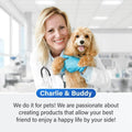 Veterinarian holding happy small dog in clinic, pet care and wellness products