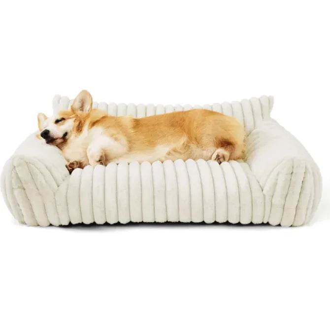 Cozy corduroy dog bed with sleeping Corgi, soft pet bedding for comfort and relaxation