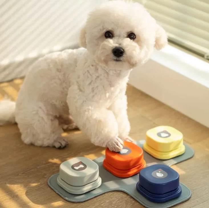 Fluffy white dog playing interactive puzzle toy with colorful buttons for mental stimulation and training
