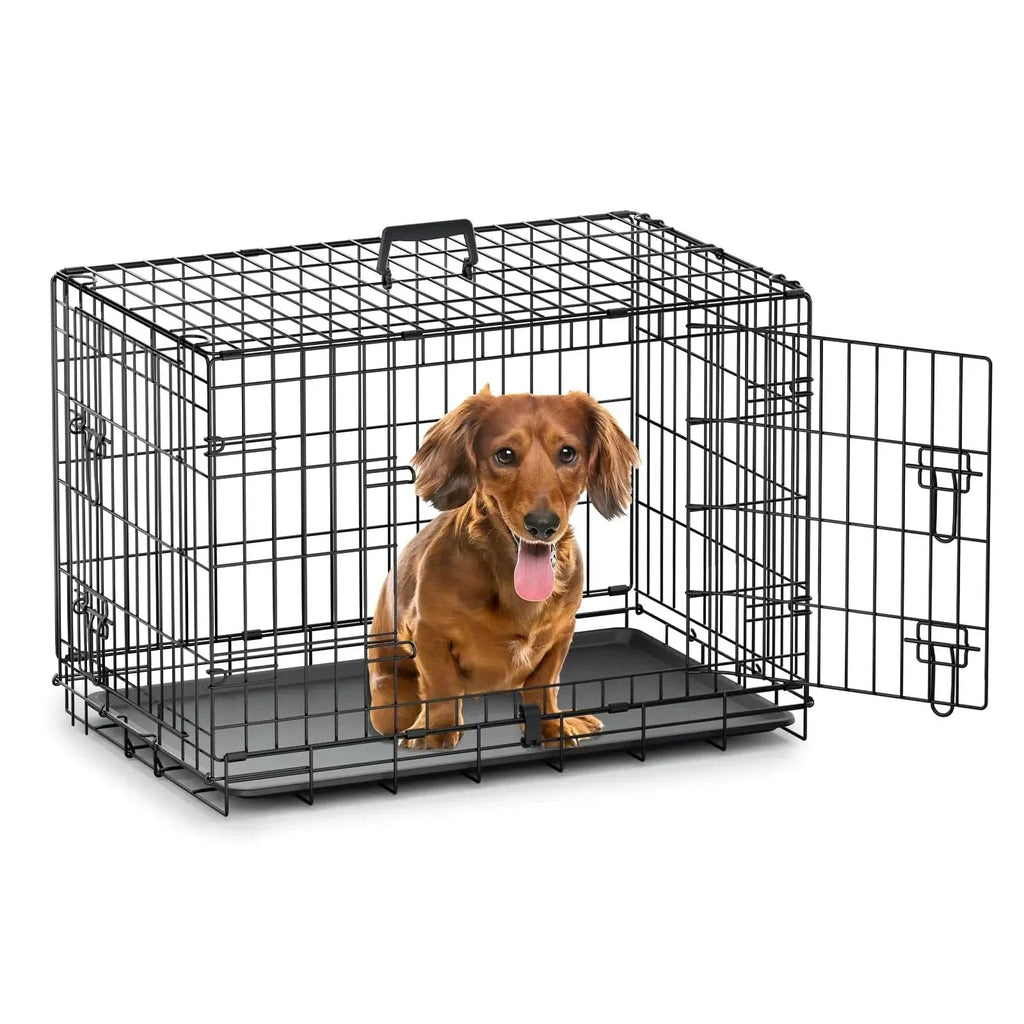 Happy dachshund in black wire dog crate with open door, ideal pet accessory for small dogs