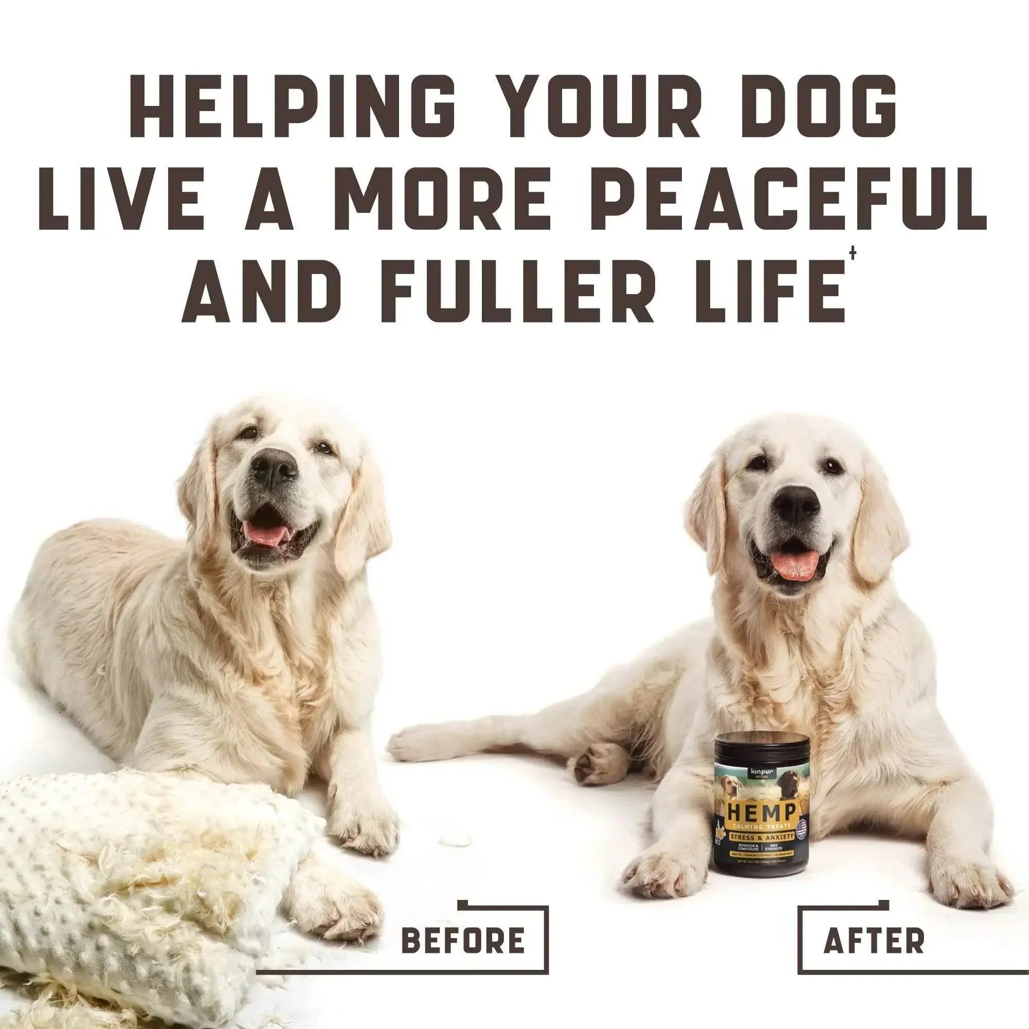 Golden Retriever before and after using hemp calming treats for stress and anxiety relief