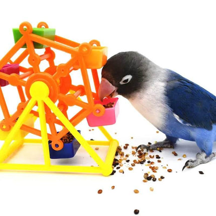 Blue and gray parrot eating from colorful Ferris wheel bird toy with scattered seeds