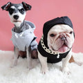 Two dogs in stylish hoodies ? gray and black ? on fluffy rug, perfect pet fashion accessories
