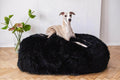 Greyhound resting on plush black dog bed, cozy pet accessory for comfortable sleep