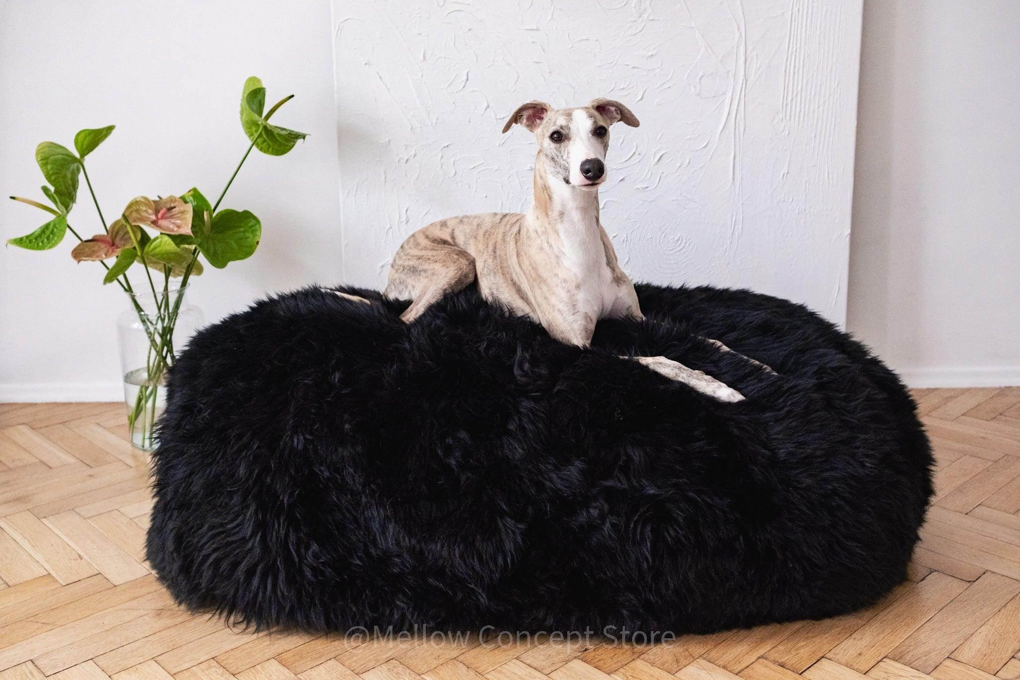 Greyhound resting on plush black dog bed, cozy pet accessory for comfortable sleep