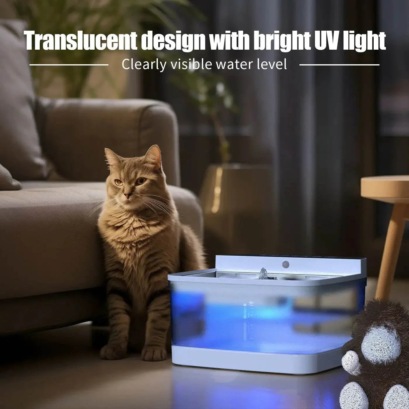 Cat beside automatic pet water fountain with UV light and visible water level