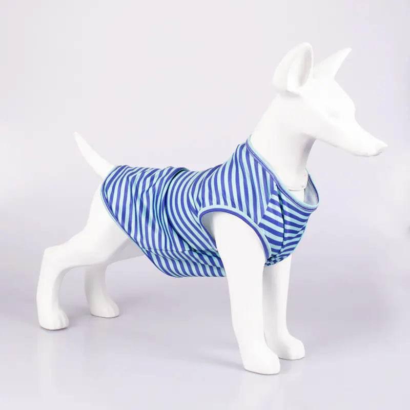 Blue and white striped dog vest on mannequin, pet clothing for small dogs