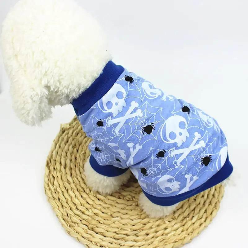 Blue skull and spider dog outfit on fluffy white pup, perfect for Halloween pet fashion.