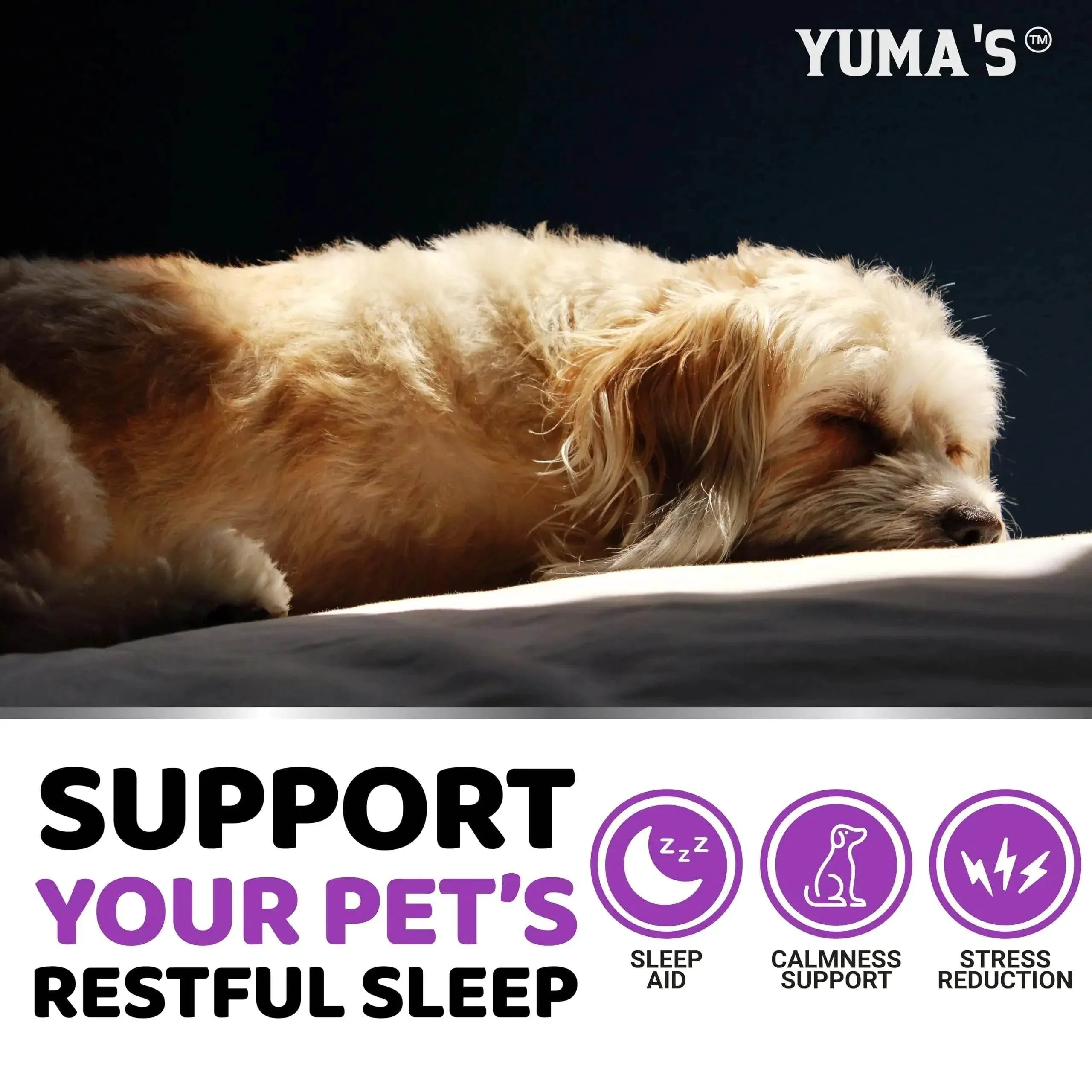 Fluffy dog sleeping peacefully on bed, promoting pet sleep aid and calmness support for restful rest