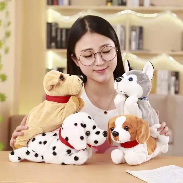 GSXzEa785wd0ZfEI - Nai Pet Store