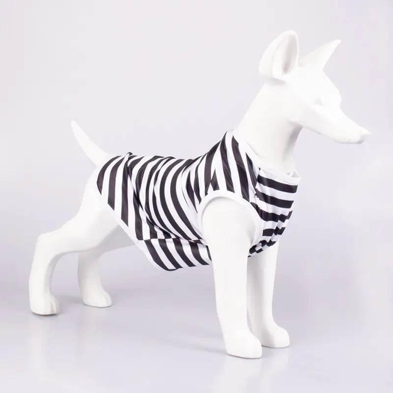 IP11TyldVlDW2qRM - Nai Pet Store