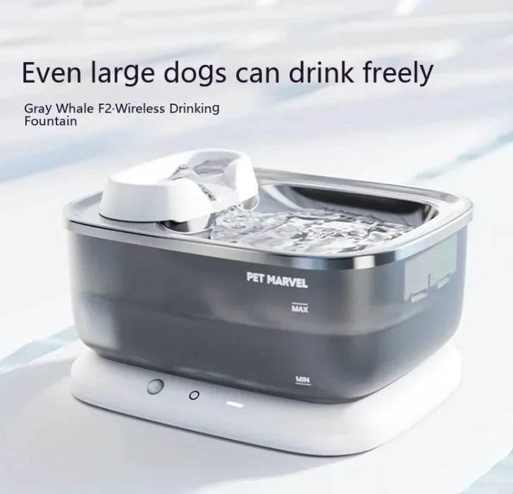 JHaXxttx70reMdMN - Nai Pet Store