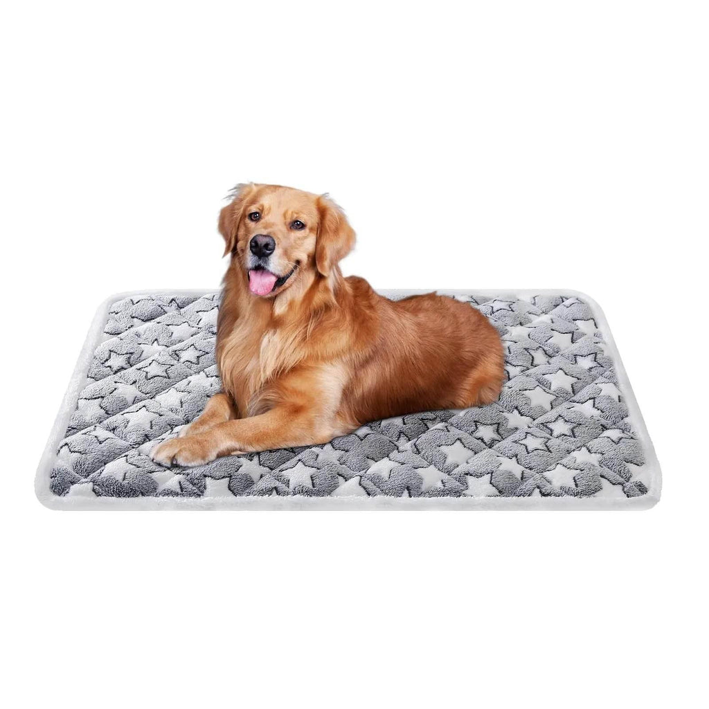 Lohzb7OKEIQvxmnA - Nai Pet Store