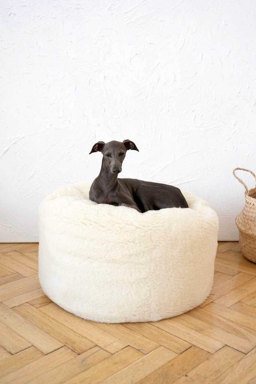 MSG_4770_Large_9fed95ef-ceab-4649-8803-653a9d914f63 - Nai Pet Store