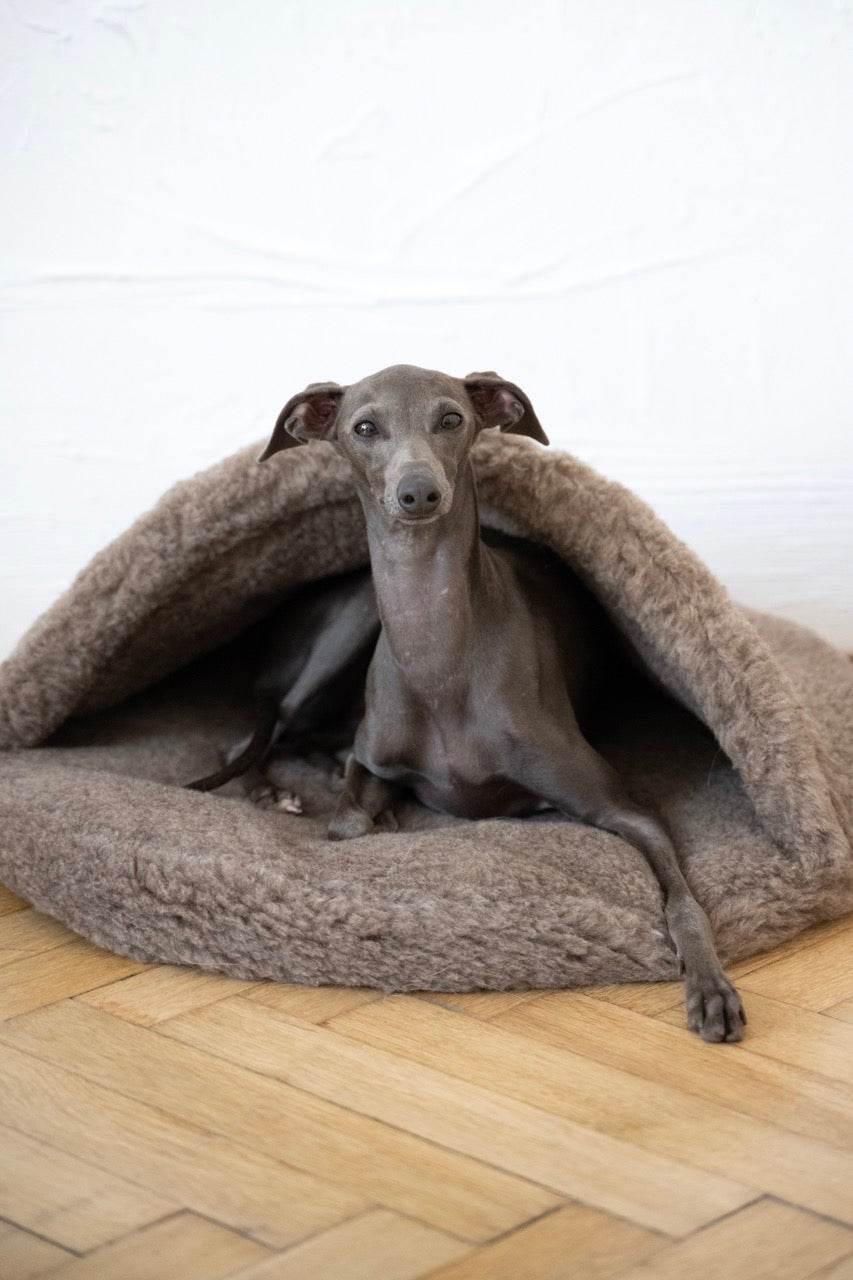 MSG_4896_Large_a7c5b7c2-e370-41f4-b080-ff7923e63c96 - Nai Pet Store