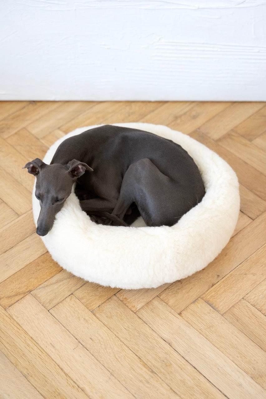 MSG_4972_Large_379529ec-8412-48c5-ad4c-83a3597ea8c5 - Nai Pet Store