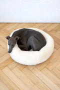 MSG_4972_Large_379529ec-8412-48c5-ad4c-83a3597ea8c5 - Nai Pet Store