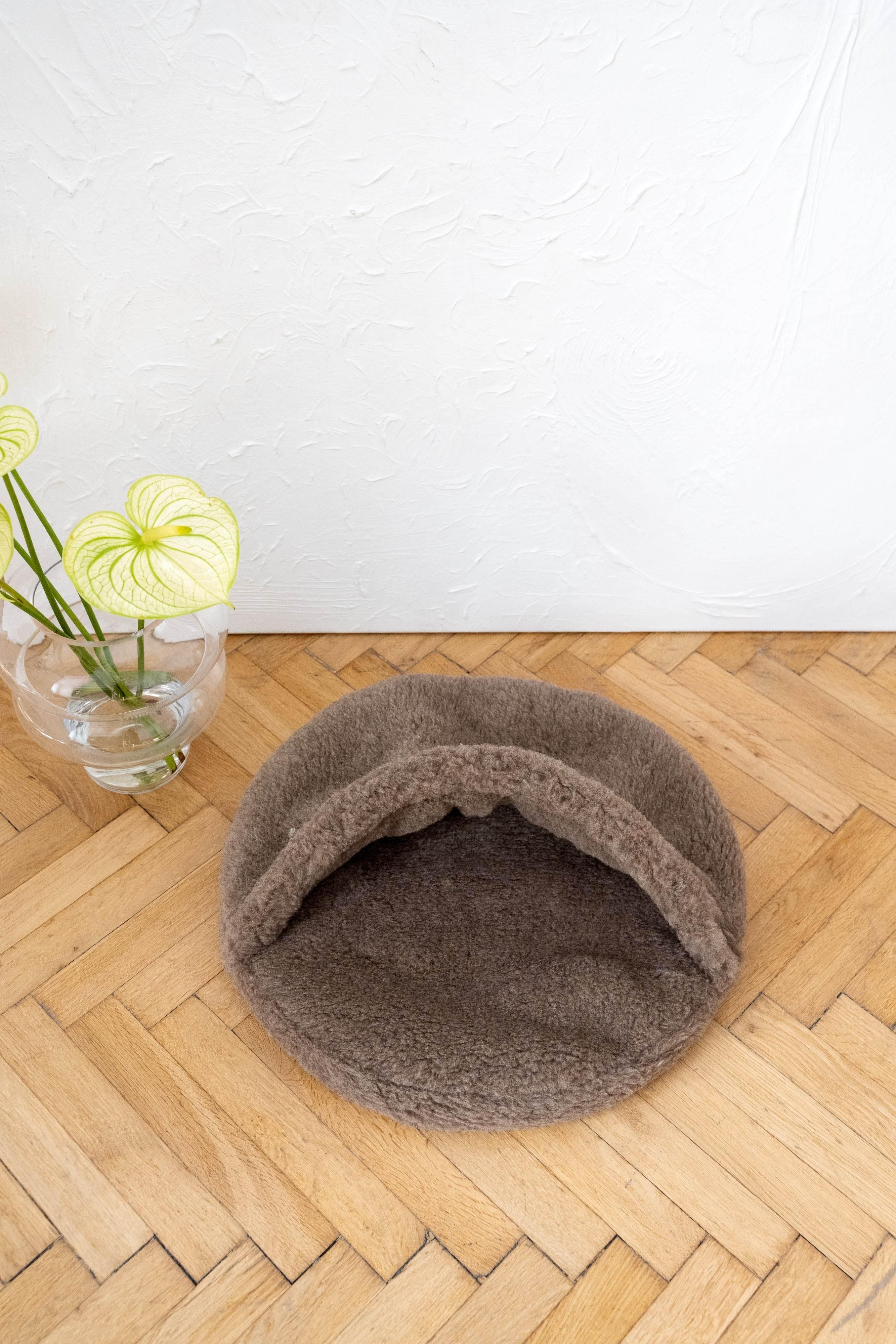 MSG_9872 - Nai Pet Store