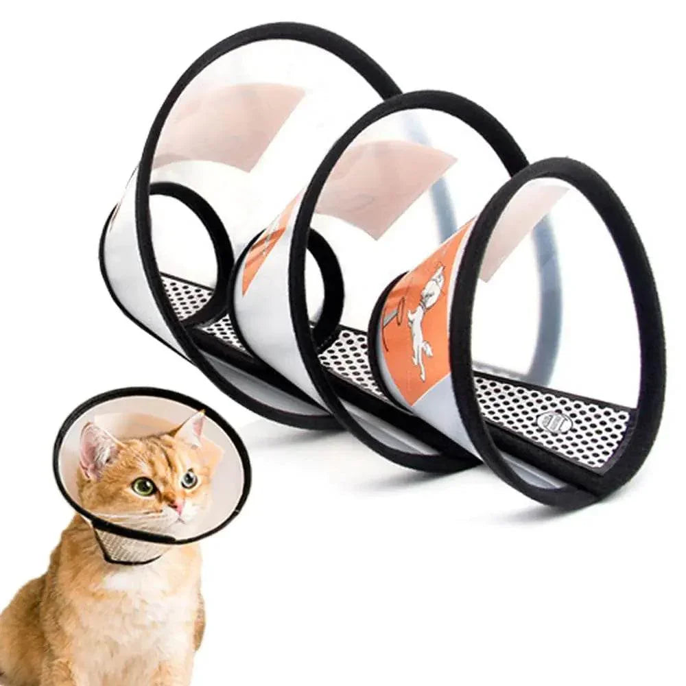 MdSBC5kQQziE20QN - Nai Pet Store