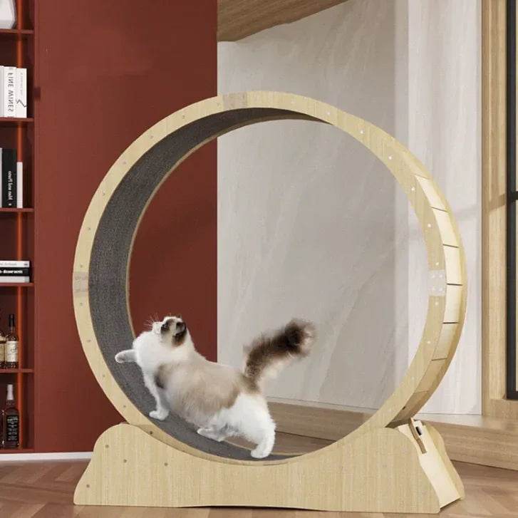 NsDeKUy7saGXiHG4 - Nai Pet Store