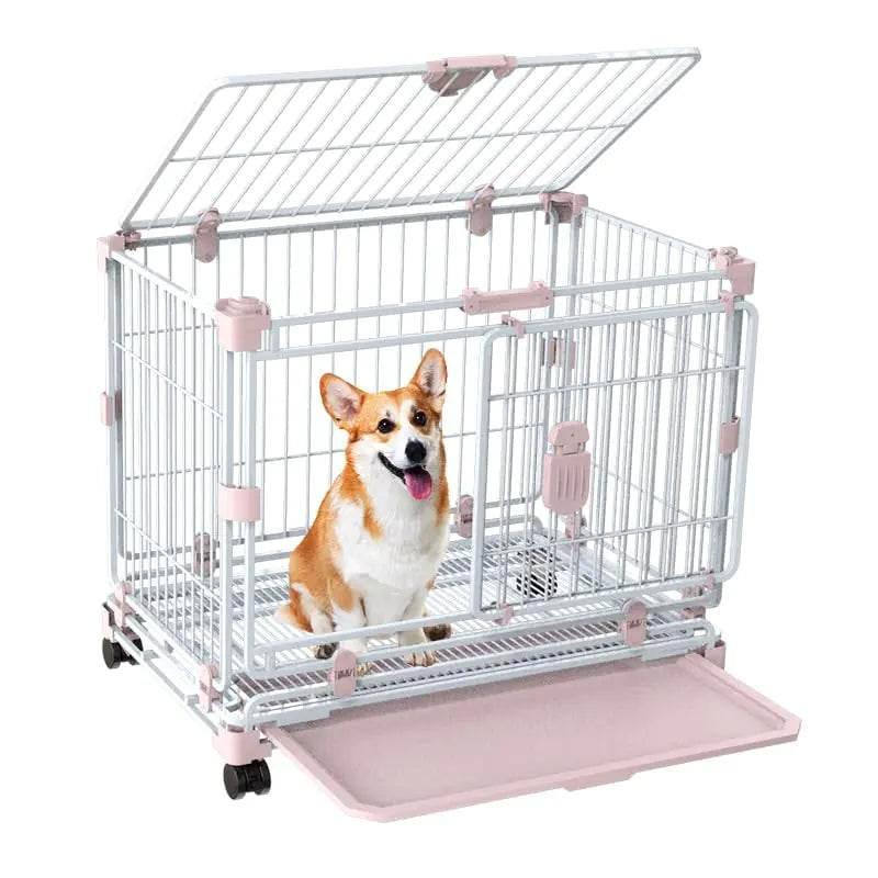 QYV3Gpr44JxJAbro - Nai Pet Store
