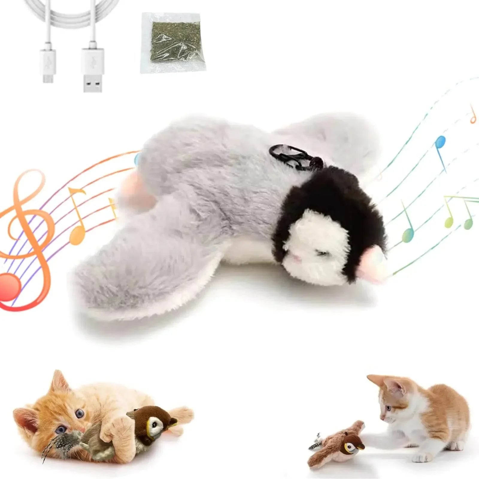 QjXFxRIqBk6w5uh4 - Nai Pet Store