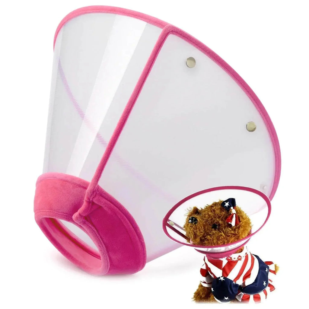 S6Ei1tEQbyo15E81 - Nai Pet Store