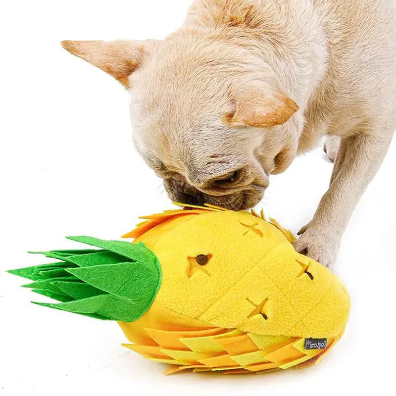 SJcbSO9VLGilsdvm - Nai Pet Store