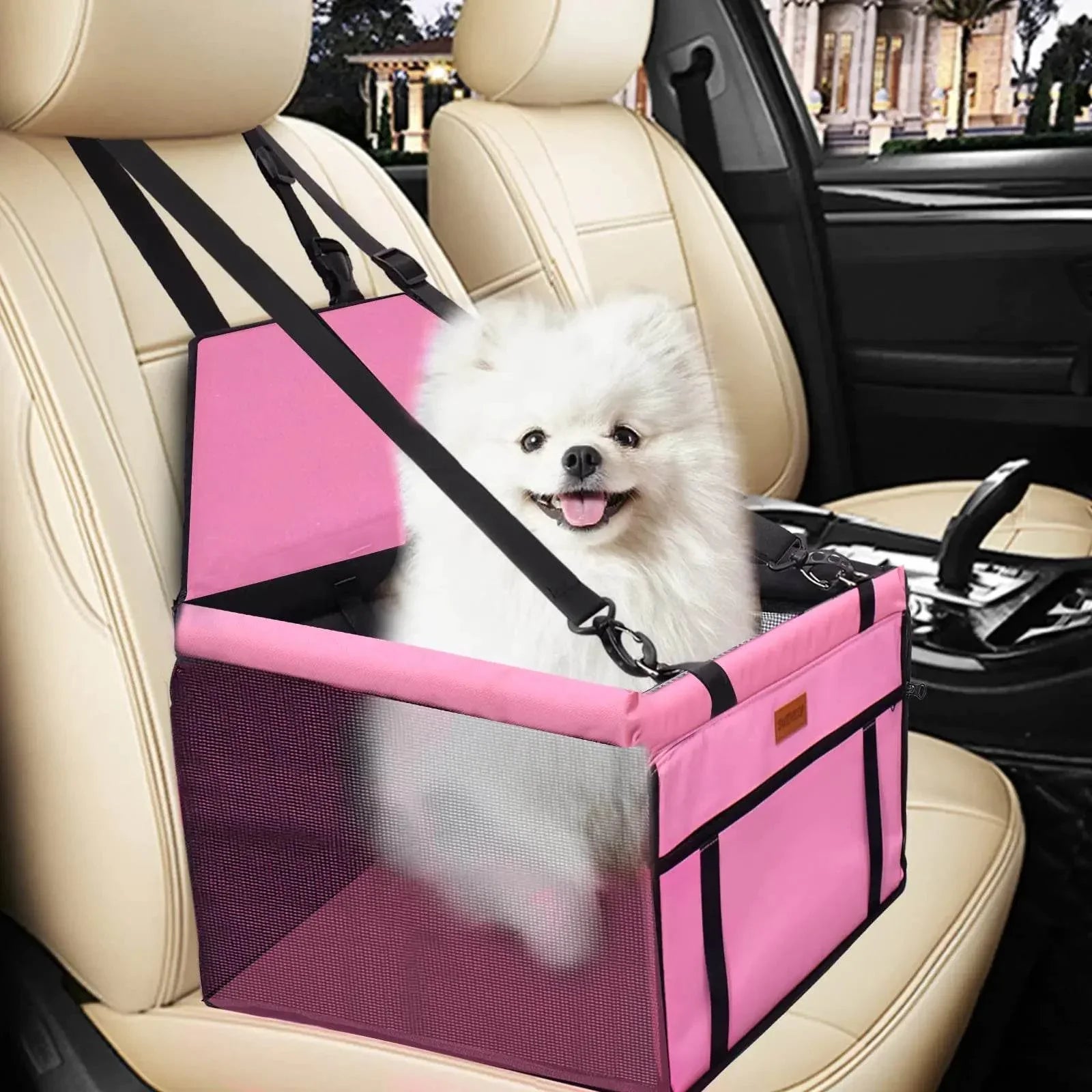 UVQJCP4boRAng6NO - Nai Pet Store