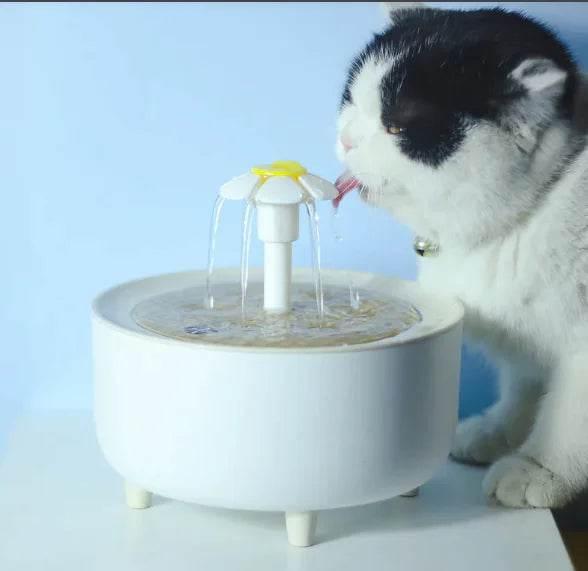 VG5c3RknCTIjet6T - Nai Pet Store