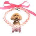 VGQfc3XbxfeKB9fZ - Nai Pet Store