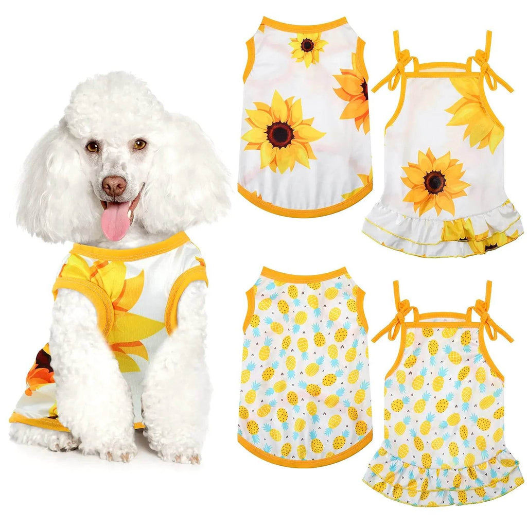 VXKWiP9sZHzJ3VWZ - Nai Pet Store